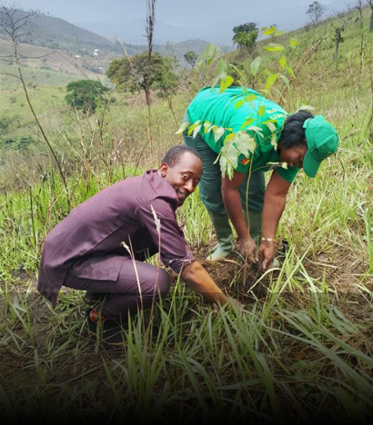 sustainable_natural_resource-1